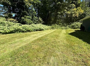 Jennifer W.'s Lawn Mowing service result