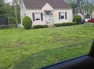 Bush Trimming by Samantha Wolfe for Daniel R. in Westfield, MA
