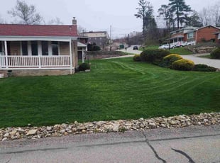 Cynthia W.'s Yard Cutting service result
