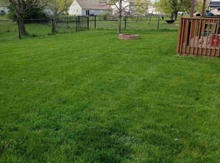 Mrs. J.'s Yard Cutting service result
