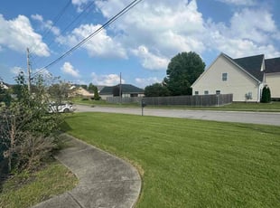 Haleigh F.'s Yard Cutting service result