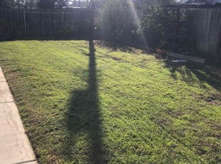 Jason D.'s Lawn Mowing Service service result