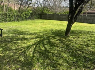 Jeff O.'s Lawn Service service result