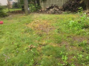 Cleanups by Brian Franz for Marina S. in Reston, VA