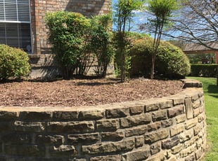 Weeding by Tracy Norman for Raelee M. in McKinney, TX