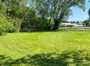 Ladarius J.'s Lawn Service service result