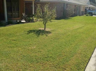 Carol C.'s Lawn Service service result
