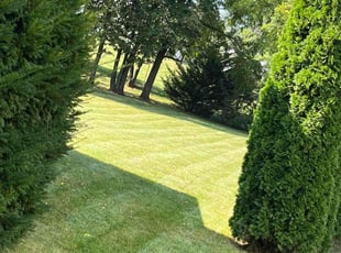 Karen G.'s Lawn Service service result