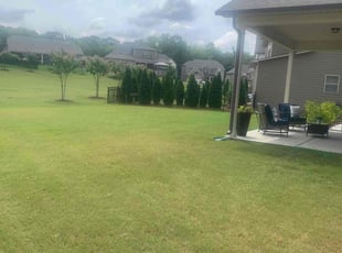 Amalia C.'s Lawn Mowing Service service result