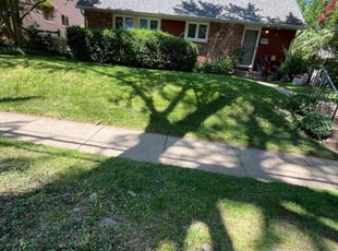 Mariam K.'s Yard Cutting service result