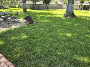 Angel P.'s Lawn Care service result