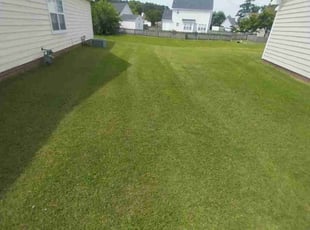 Oksana T.'s Lawn Mowing service result