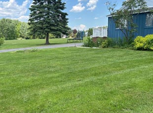 Cosette B.'s Lawn Service service result