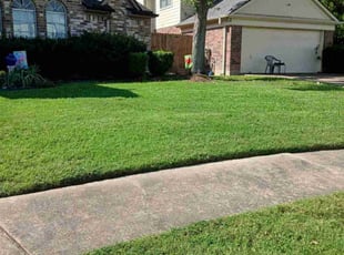 Julianne R.'s Lawn Mowing service result