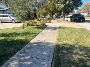Shada T.'s Grass Cutting service result
