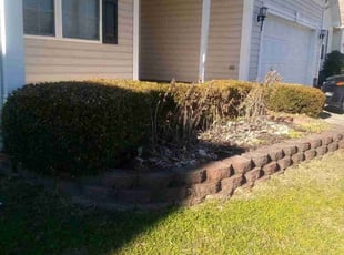 Bush Trimming by Adams Paiz for Porter M. in Huntersville, NC