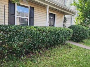 Bush Trimming by Scott Talmadge for Nisha M. in Stockbridge, GA