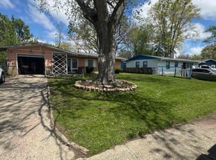 Daniele S.'s Lawn Service service result