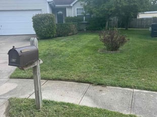Kathy S.'s Lawn Service service result