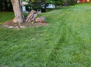 Gwyddon K.'s Lawn Service service result