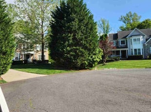 Leaf Removal by Mark Burke for Rich A. in Brentsville, VA
