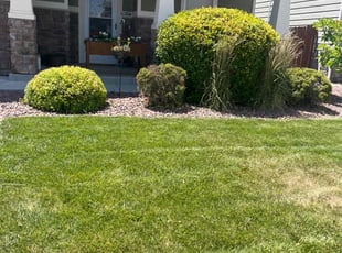 Bush Trimming by Brennen Spratte for Eric R. in Colorado Springs, CO