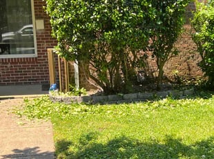 Bush Trimming by Valera Swearngin for Jaykob L. in Virginia Beach, VA