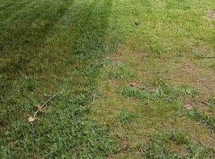 Scott J.'s Lawn Care service result