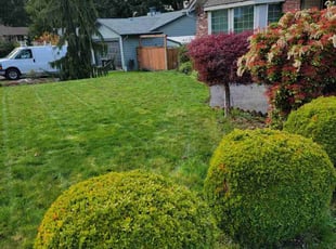 Brooke k.'s Lawn Maintenance service result