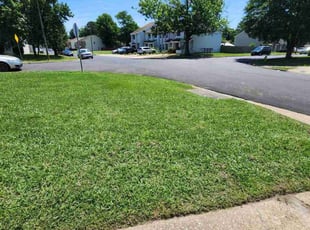 Asia T.'s Lawn Mowing Service service result