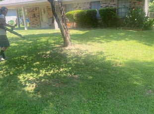 Bush Trimming by Jason Young for Mark W. in Little Rock, AR