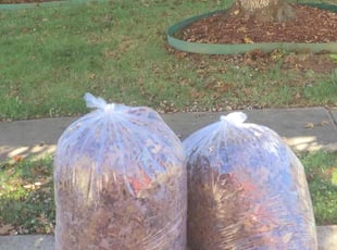 Leaf Removal by Hiram Sutton for Sharon S. in Charlotte, NC