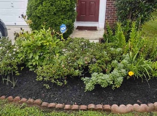 Weeding by Allan Roberts for Dan N. in Centreville, VA