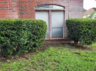 Bush Trimming by Juliana Ledezma for Sharon S. in Georgetown, TX