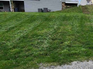 Morghen D.'s Lawn Mowing service result