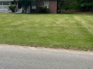 Kristyn B.'s Grass Cutting service result