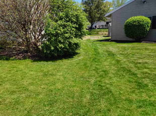 Marcia E.'s Yard Cutting service result