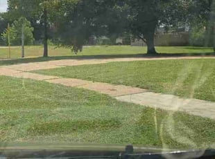 Ty L.'s Lawn Care service result