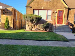 Alberto H.'s Yard Cutting service result
