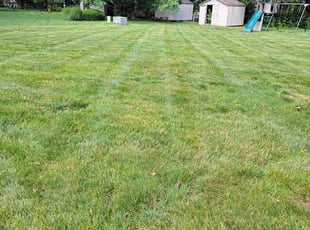 Beverly W.'s Lawn Service service result