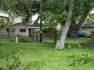 Chris J.'s Lawn Mowing service result
