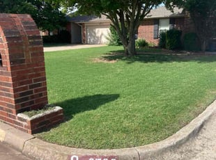 Kenya A.'s Lawn Mowing service result