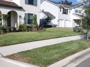 Patrick S.'s Lawn Care service result