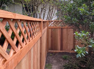 Bush Trimming by Joseph Fullner for Sharlene A. in Tacoma, WA