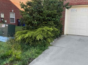 Bush Trimming by Josué j Martinez maradiaga for Isaiah V. in Bryans Road, MD