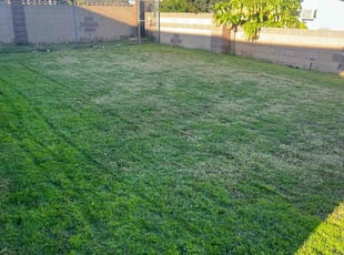 Teresa M.'s Lawn Service service result
