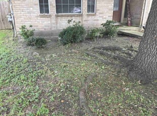 Bush Trimming by Nicole Ross for Jessica D. in Fresno, TX