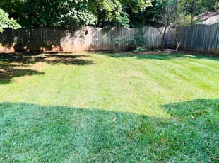 Miranda A.'s Lawn Mowing service result