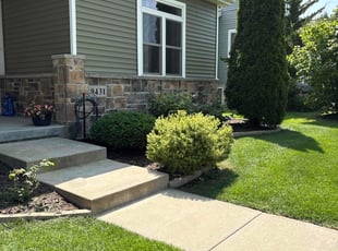 Bush Trimming by Jennifer Rose for Karen C. in Middleton, WI