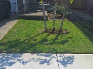 Christopher M.'s Lawn Mowing Service service result